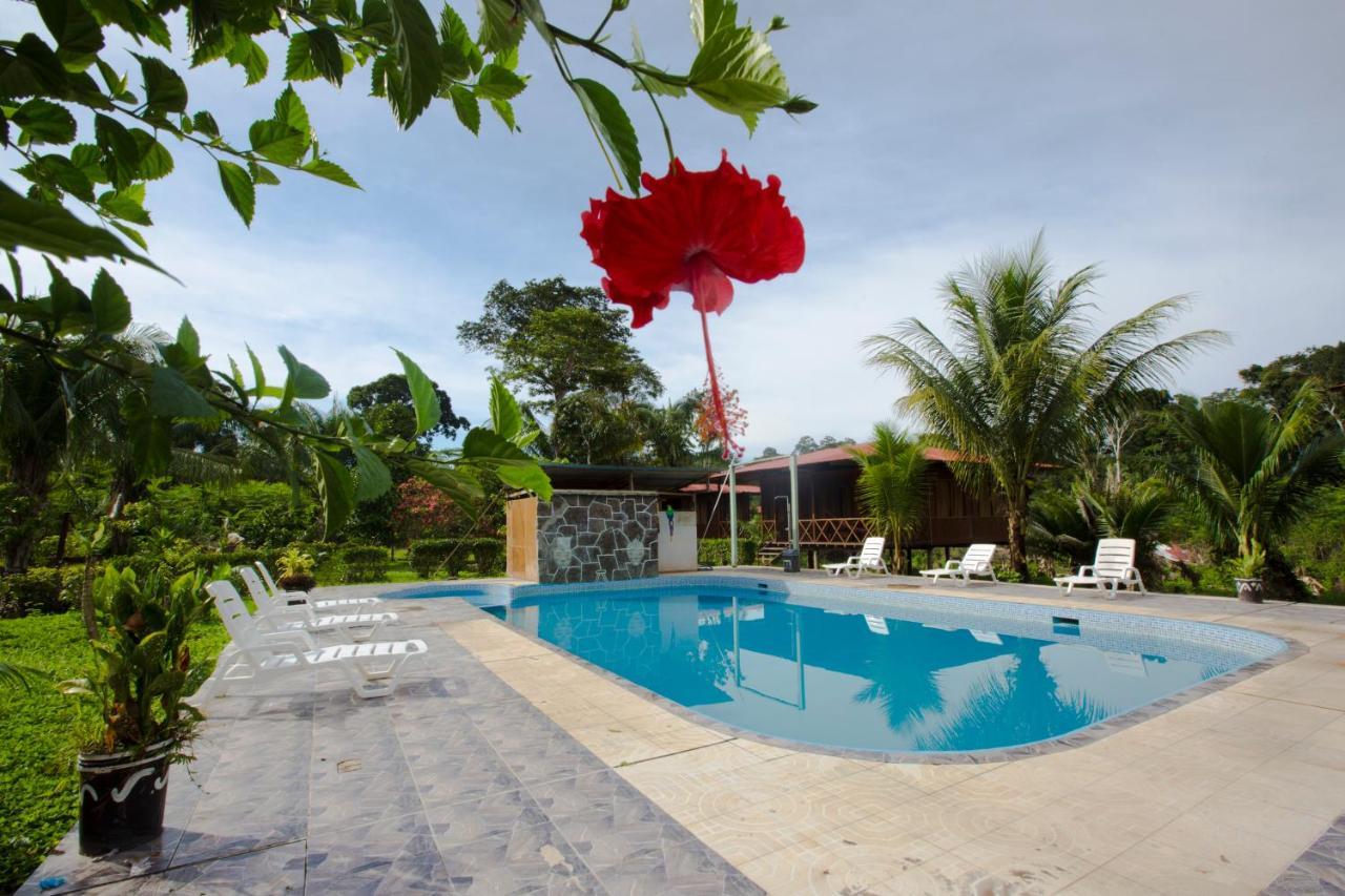 Monte Amazonico Lodge Tambopata المظهر الخارجي الصورة