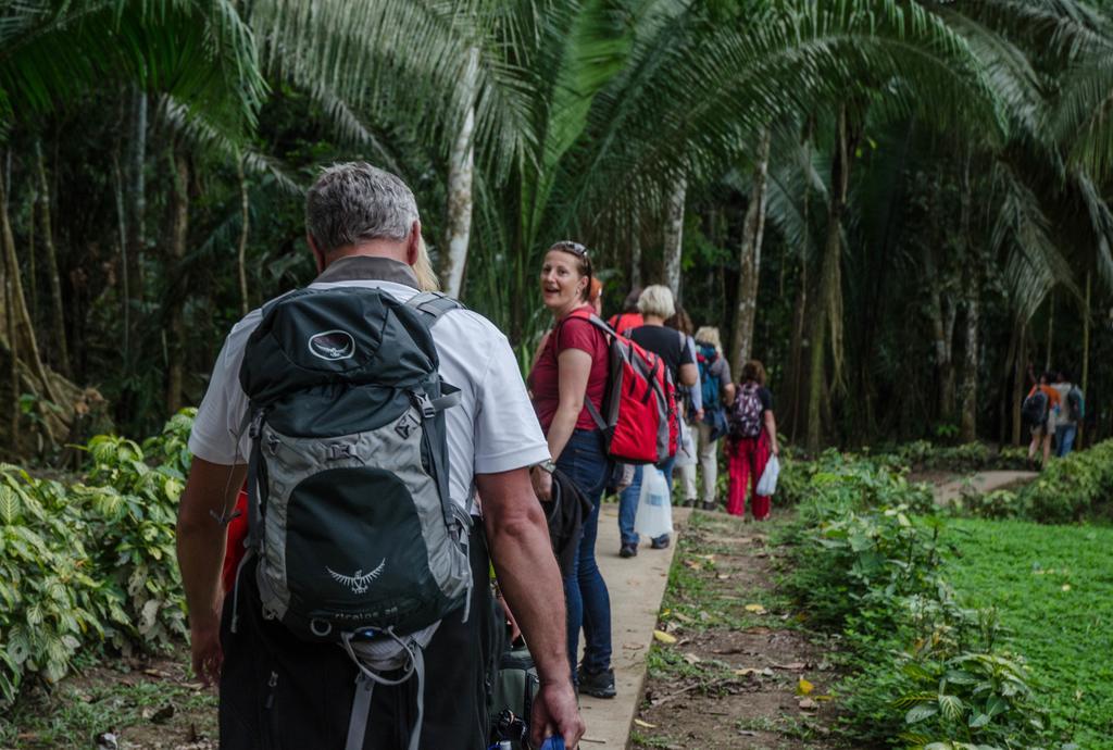 Monte Amazonico Lodge Tambopata الغرفة الصورة